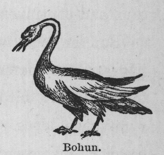 Bohun.