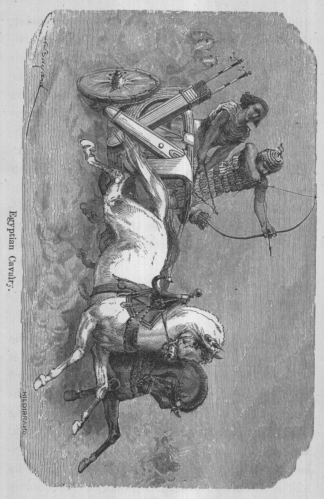 Egyptian Cavalry.