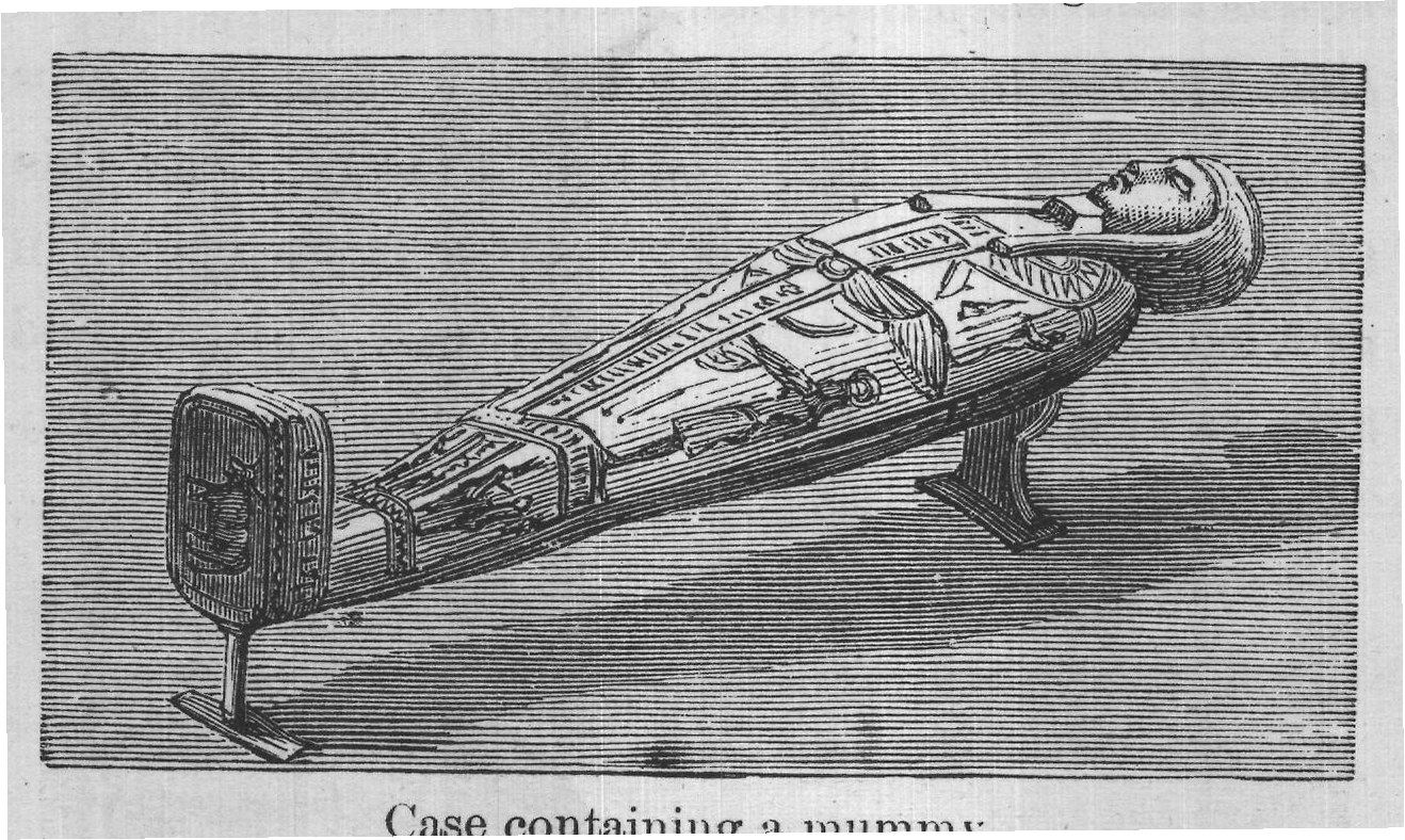 Case containing a mummy.