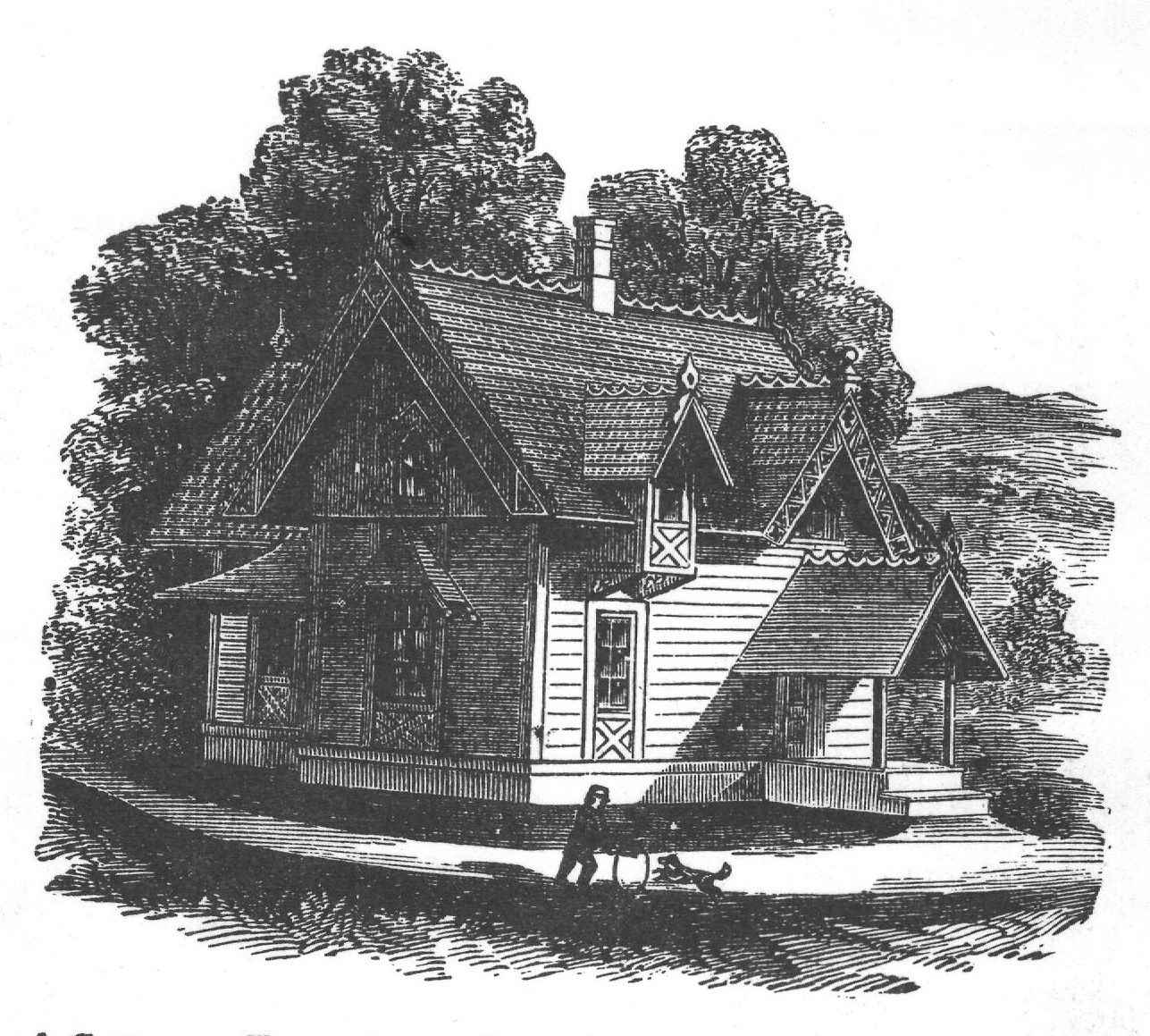 Half Timbered Cottage. From Atwood's "Country and Suburban Houses." Illustrated