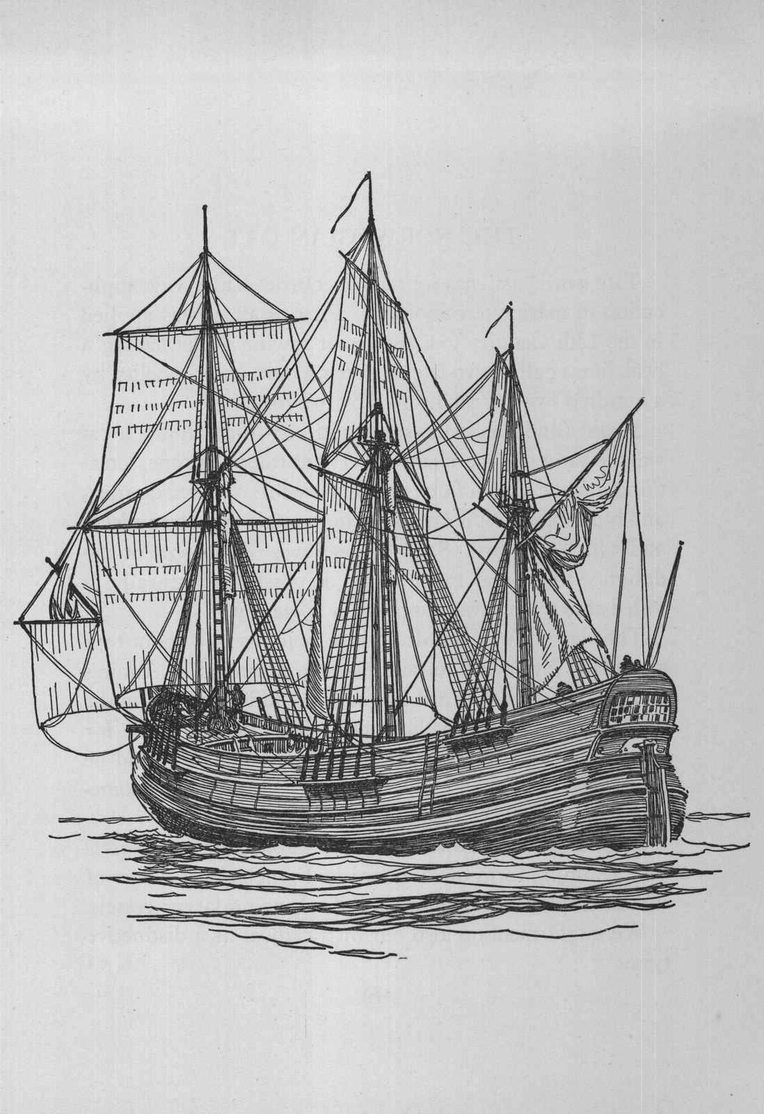 The Norwegian Cat — the plate from the book